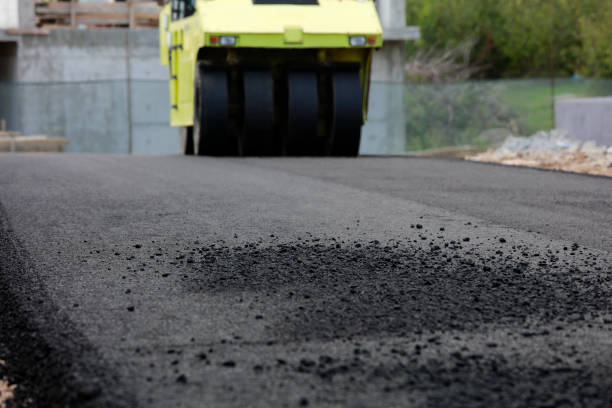 Best Decorative Driveway Pavers  in North Palm Beach, FL