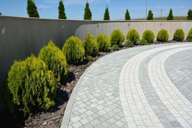 Reasons to Select Us for Your Driveway Paving Requirements in North Palm Beach, FL